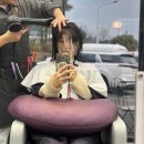 성태인 헤어 | 대동 레이어드컷 염색 어뉴 애플헤어