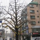 경복궁역 3번 출구 앞 이미지