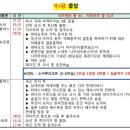나이스투어 앤 골프