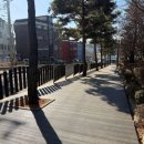 솔숲공원 이미지