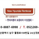 울산렌트카(주) 이미지