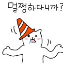 백세갈비살본점 이미지