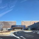 포레스트탭룸 | 인스파이어 포레스트타워 디럭스킹 아기랑 뷰 체크인 수영장 후기