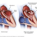 이로운 동물병원 이미지