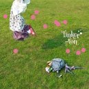 팅커벨PC 이미지