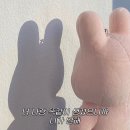모아모
