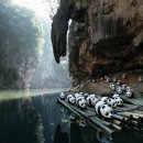 판다나라 이미지