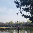 파주 벽초지 수목원~북한산 송추계곡 힐링산책^^ 이미지