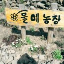 수산리농장 이미지