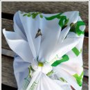 중앙공원 산책로 이미지