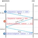 100-1-000010 티스토리