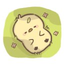 더편한바디앤스파