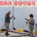 대부도 망둥어낚시 느나 느나 던지고 10초 이미지