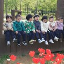 별밭어린이집 이미지