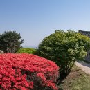 화서공원 이미지