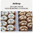 폼잡는개 | 제주 아라찐빵 새로운 예약방법 I 예약성공 후기 네이버폼