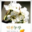 덕천농장 이미지