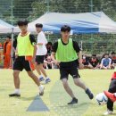 부산일과학고등학교 네이버블로그