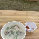 2023 부산국제록페스티벌 day2 후기(셋리 포함)