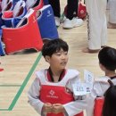 멋짐태권도장 이미지