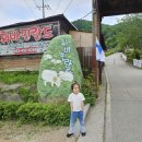 홍천 아이와 가볼 만한 곳 휘바핀란드 with 플레이정글 다녀온 후기