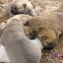 상희농장 이미지