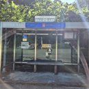 금곡삼거리식당 이미지