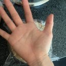 킴앤콩쓰 | 택배빵 맛집, 킴앤콩쓰 맘모스빵 맛부터 가격까지 솔직후기