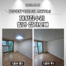 관악-현장-관악-08-25 | [동작구/관악구/영등포구/금천구]빌라 광폭합지 도배 시공 후(feat.신혼집도배)