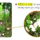 금풍농원