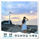 바닷길 풍경 | 안산 탄도항 물때, 탄도바닷길부터 누에섬까지 일몰 명소 간조시간