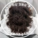 경산 하양 미용실 머리합니다에서 히피펌 한 달 지난 찐 후기