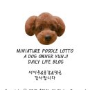 애견종합병원 이미지