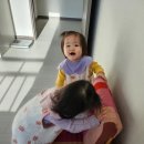 곰실화장실 네이버블로그