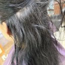 전*철 - 안양시 동안구 평촌동 | 아산 복구 매직｜모종동 악성 곱슬 누적 손상모, 장마철 전에 해결한 진심 고객 후기
