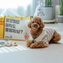 블랑블랑 | 강아지 배변패드 순간흡수 냄새 걱정 없는 블랑블랑 애견패드