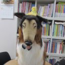 김해기적의도서관 이미지