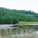 해안사구 이미지