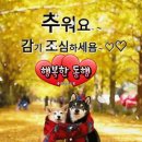 샷다 내리기전에... 이미지