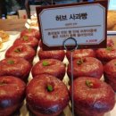 포천개울가 이미지