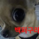 정*병