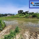 주교면사무소 이미지