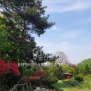 안성탑공인중개사사무소 이미지