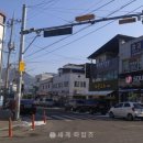 주정차단속-27 이미지