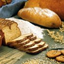 라스트짐 이미지