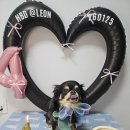 더독동물병원 | 레옹이 4살 생일파티🎂