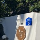 스테이 소화 이미지