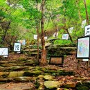 아카둘공 136차 정기산행 고성 오두산 치유숲+송학동 고분군 이미지