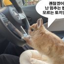 수원역전담