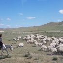 파스텔여관 이미지